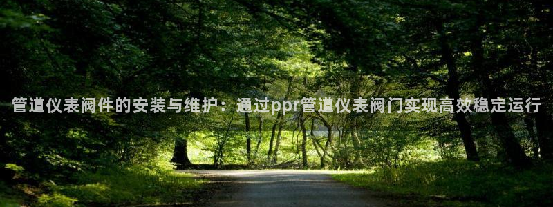 新宝gg主管都是谁