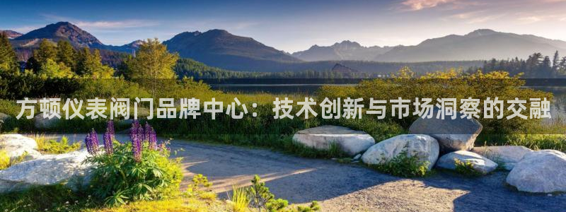 正版新宝gg
