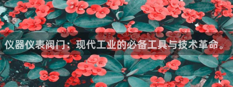 新宝gg网点