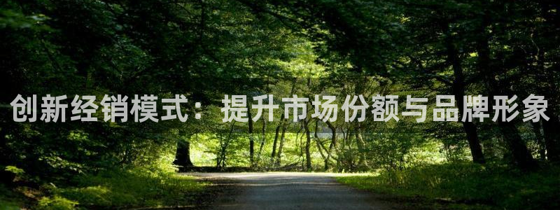 新宝gg主