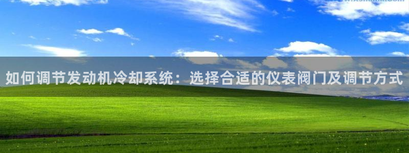 新宝gg打发