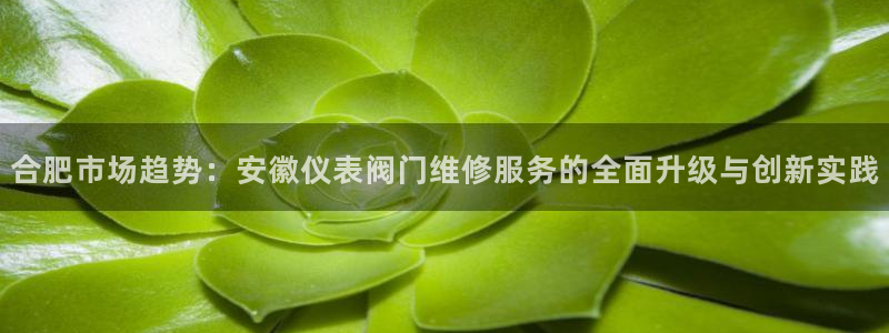 新宝gg 登陆