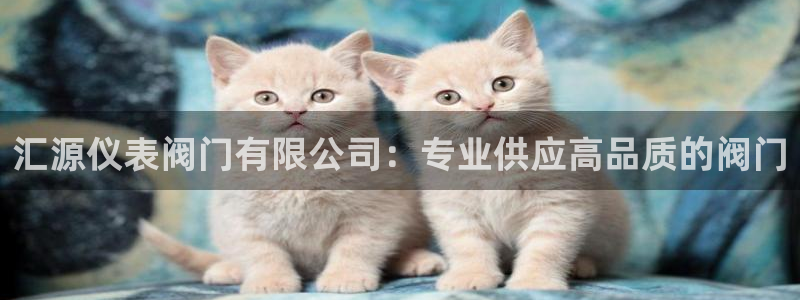 新宝gg提点