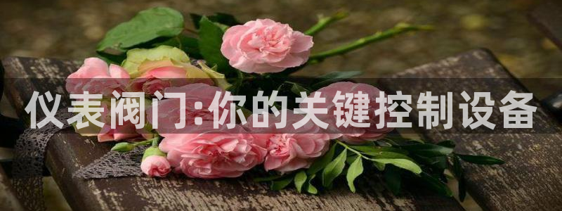 新宝gg创造奇迹平台