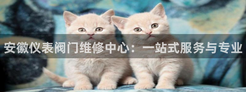 66新宝gg