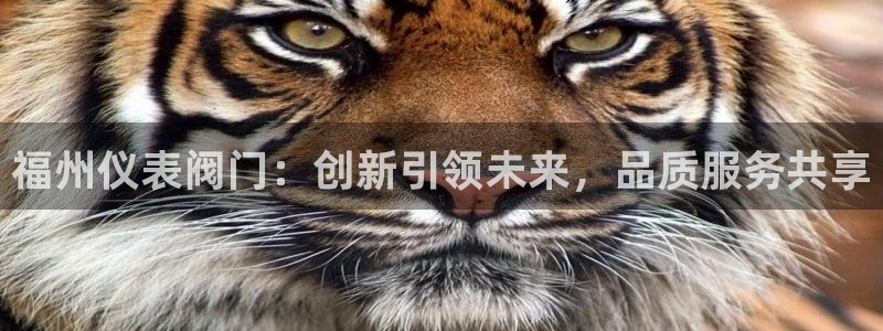 新宝GG绿色