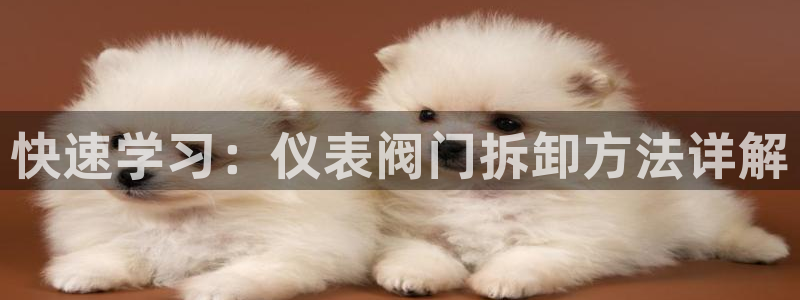 新宝gg龙腾