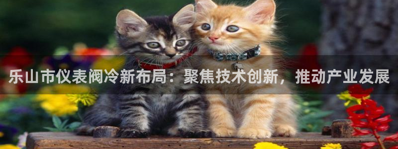 太阳gg和新宝gg