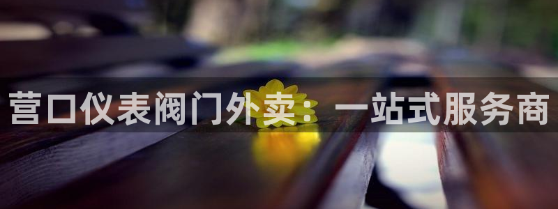 新宝gg待遇