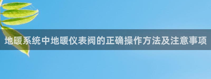 新宝gg代理条件