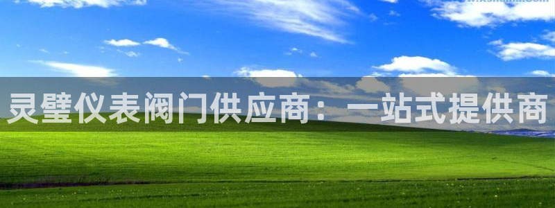 新宝gg可靠