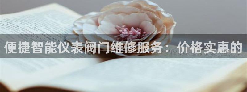新宝gg属于