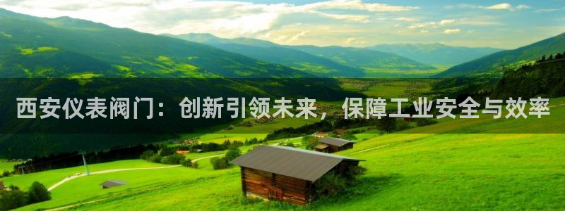 新宝Gg测速地址