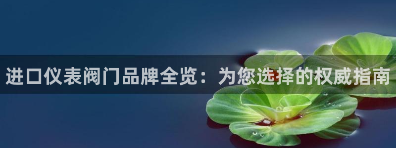 gg新宝创新