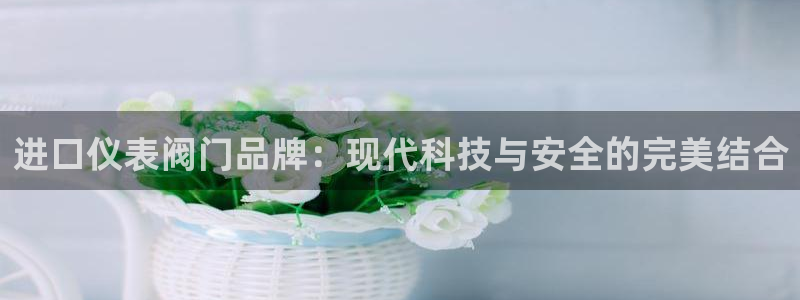 新宝GG之家