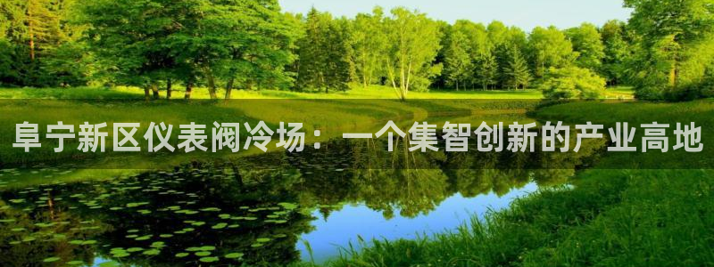 新宝gg玩法
