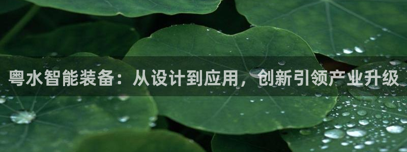 新宝gg什么
