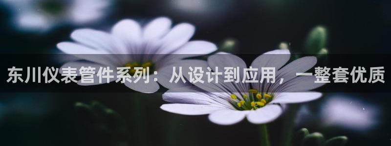 新宝 gg 下载