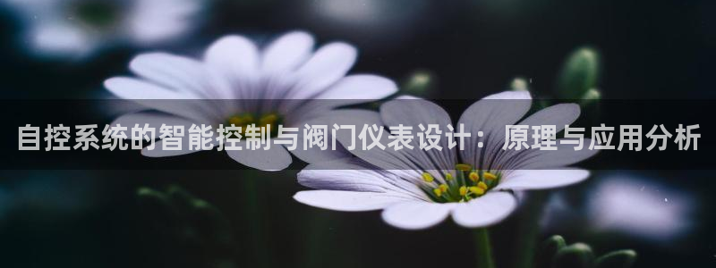 新宝gg充值
