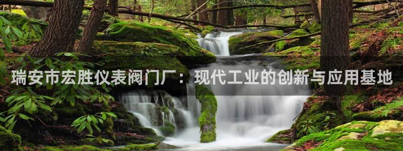 新宝gg平台怎么样