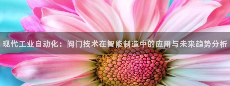 新宝gg网娱乐