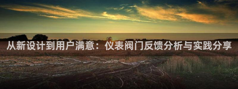 怎么代理新宝gg