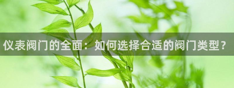 新宝gg娱乐主管q42873