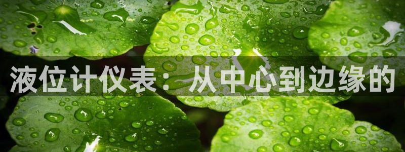 新宝gg主管baidu