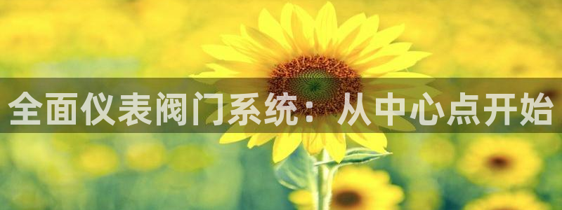 新宝gg传奇
