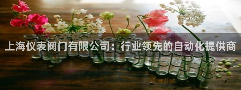 新宝gg公司