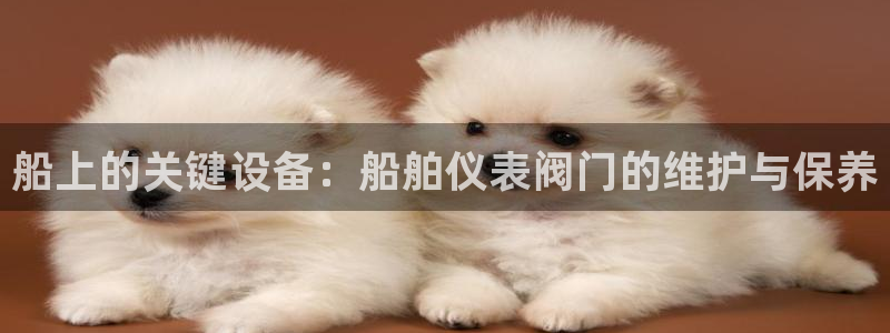 新宝gg主管、