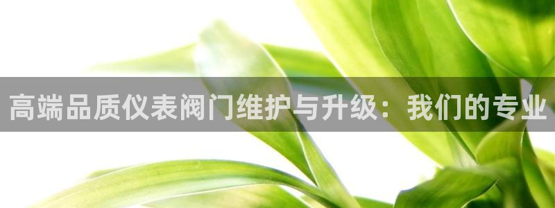新宝gg游戏平台
